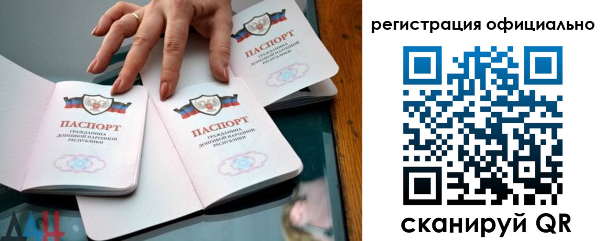 временная регистрация поиск в Курской области